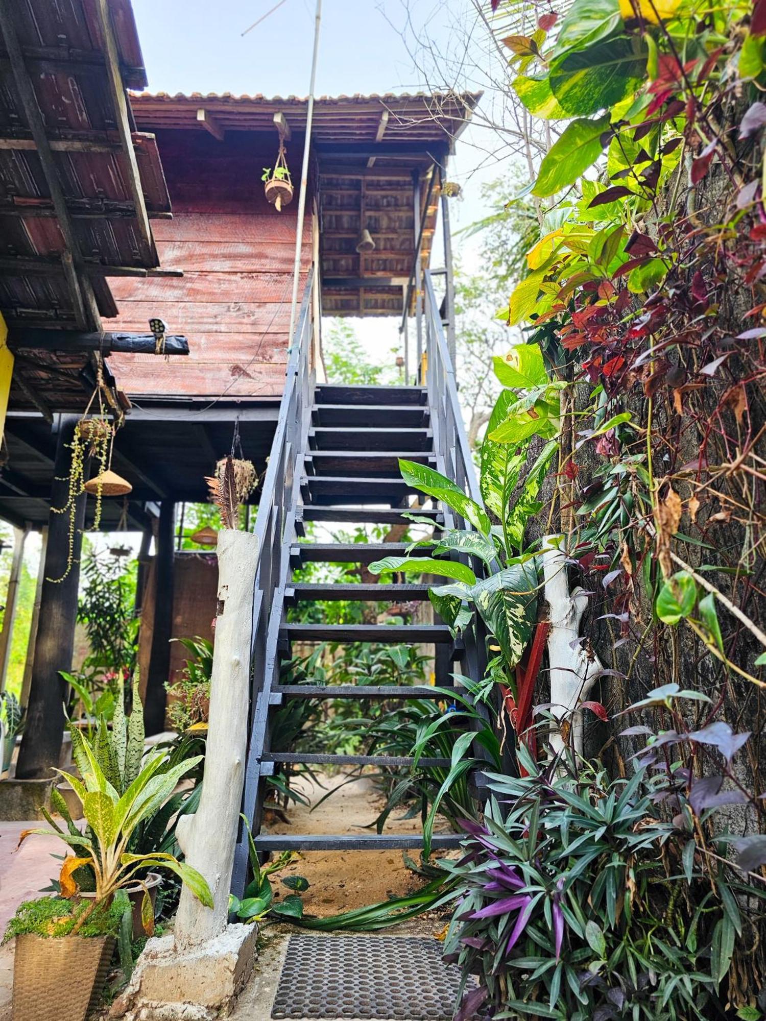 Bird House Mirissa Hotel Exterior photo
