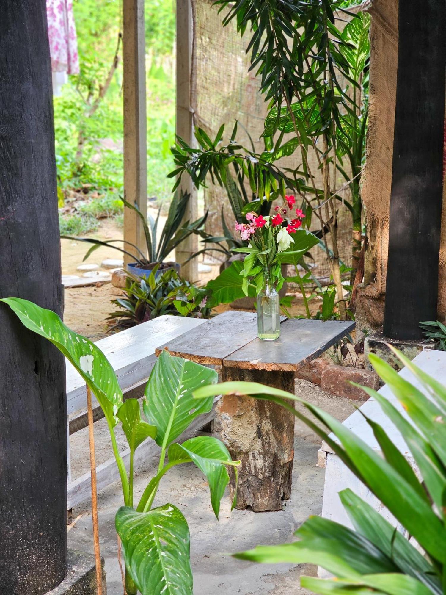 Bird House Mirissa Hotel Exterior photo