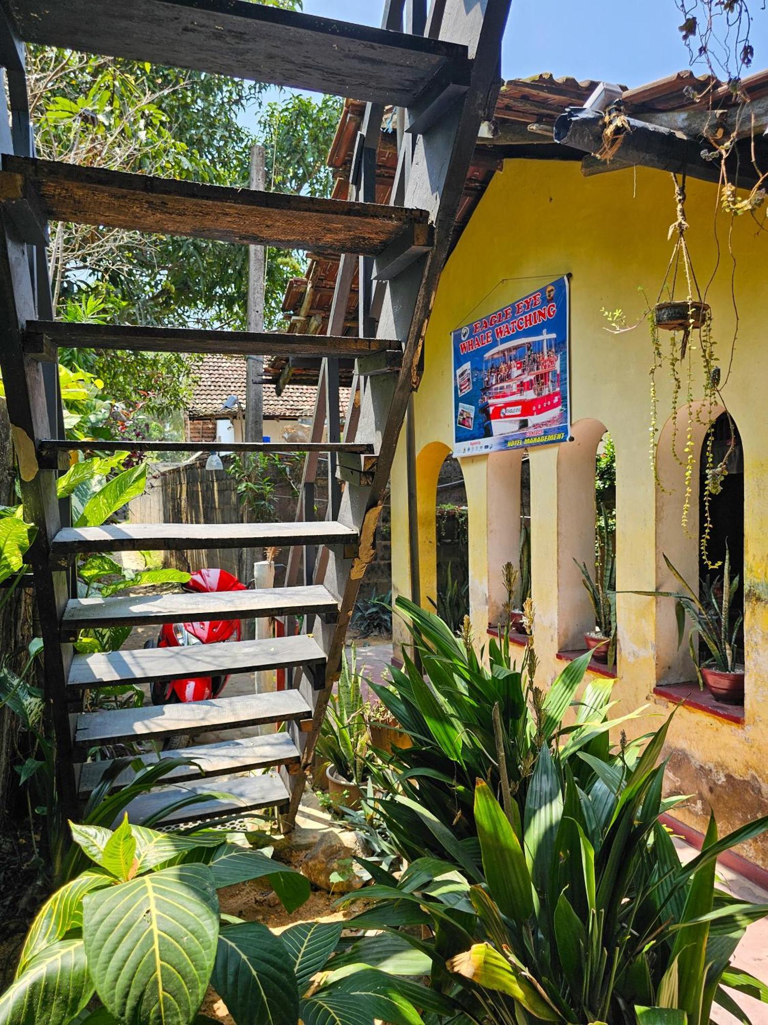 Bird House Mirissa Hotel Exterior photo